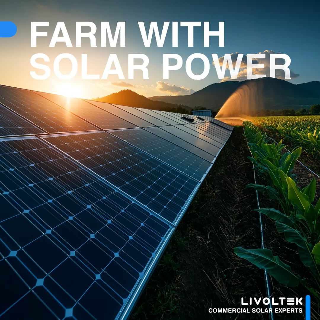 Livoltek — Farm With Solar Power