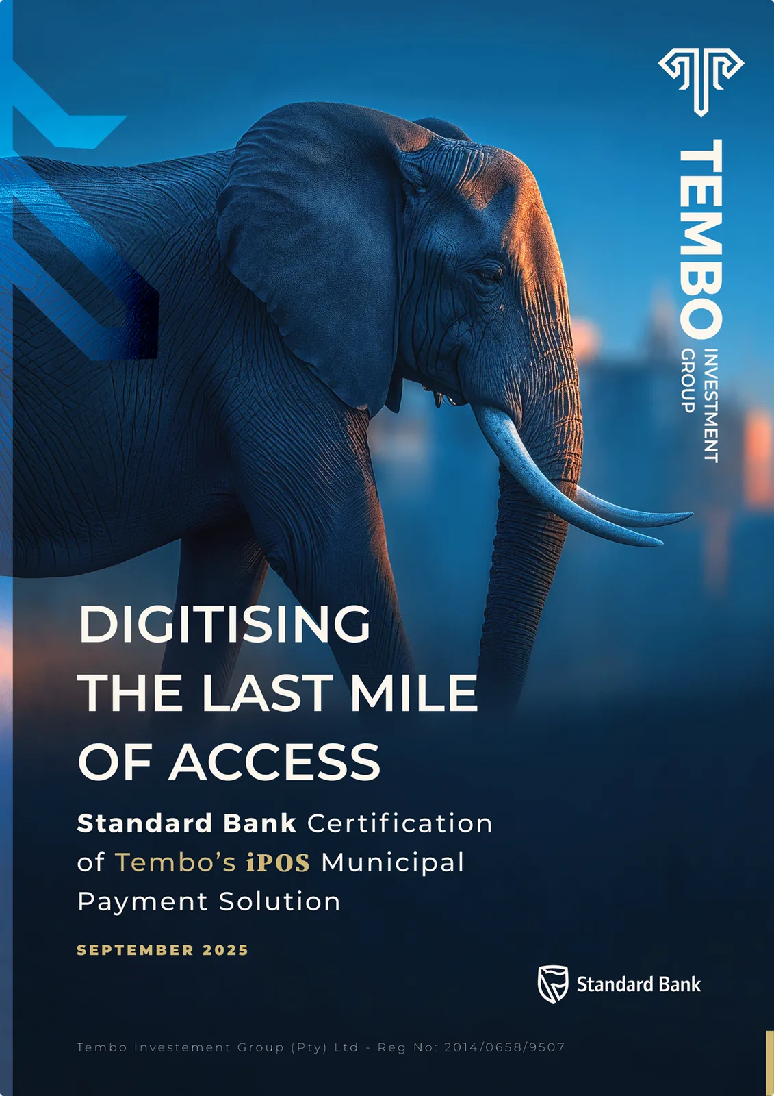 Tembo × Standard Bank — Digitising the Last Mile of Access, cover
